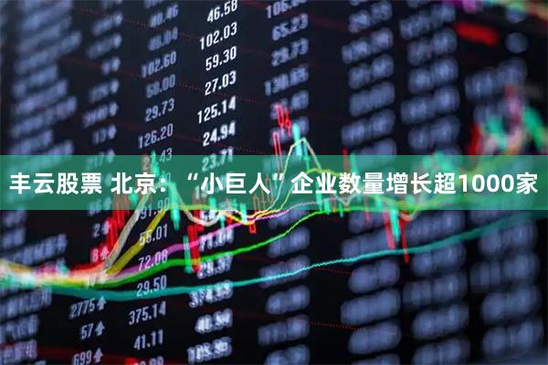丰云股票 北京：“小巨人”企业数量增长超1000家