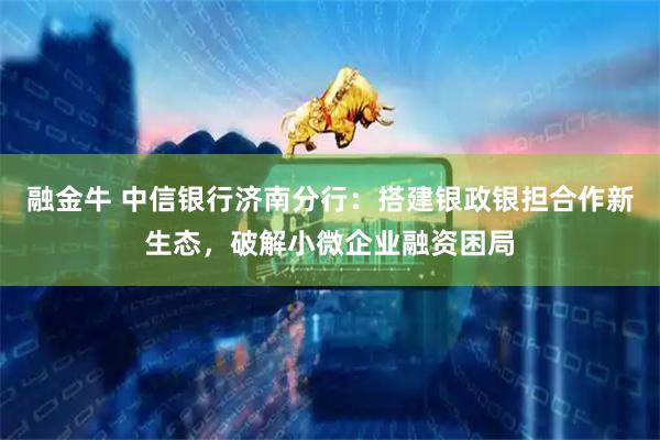 融金牛 中信银行济南分行：搭建银政银担合作新生态，破解小微企业融资困局